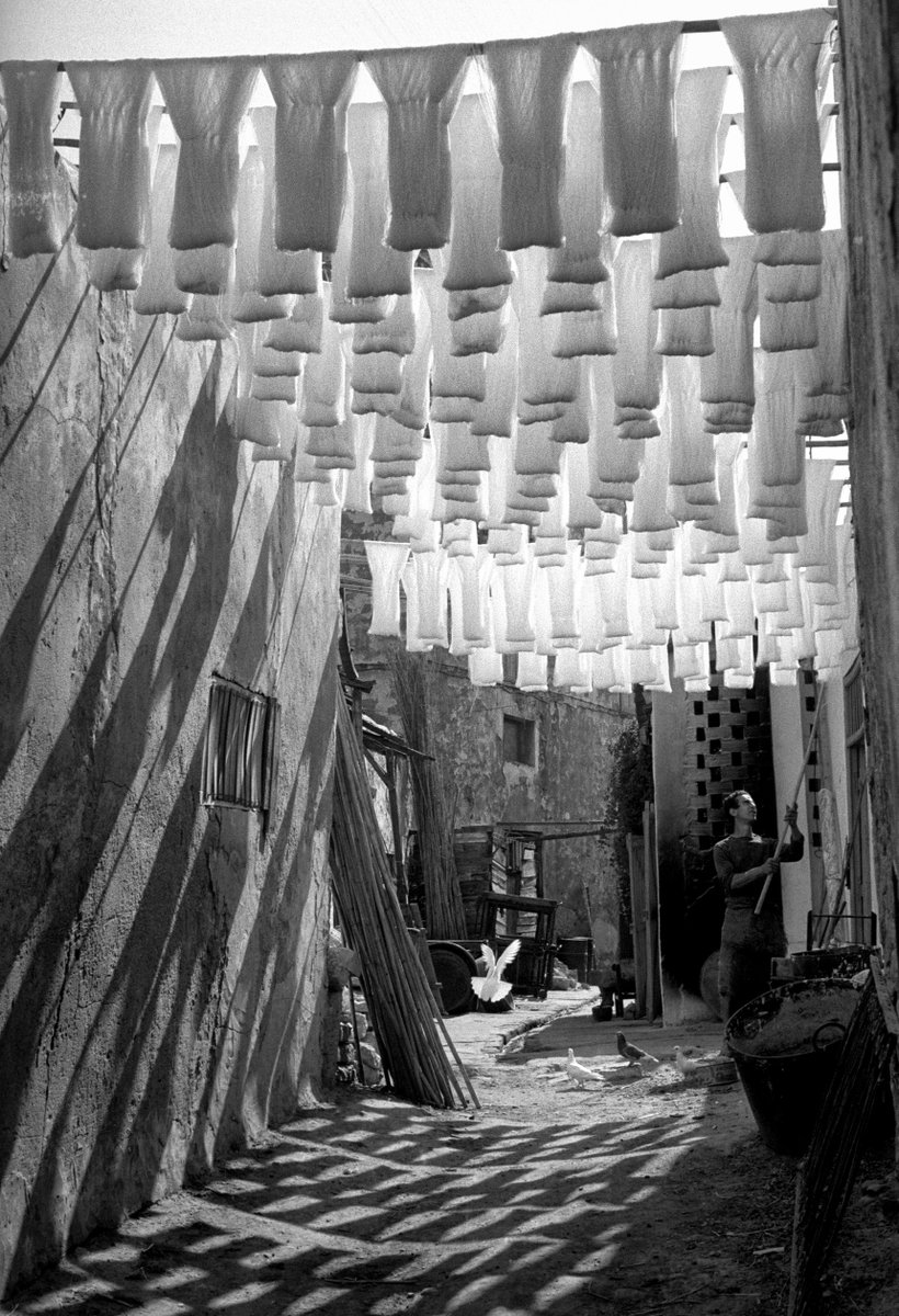 Skeins of cotton hanging to dry, Tunis, Tunisia, 1958 🇹🇳

📷: George Rodger
