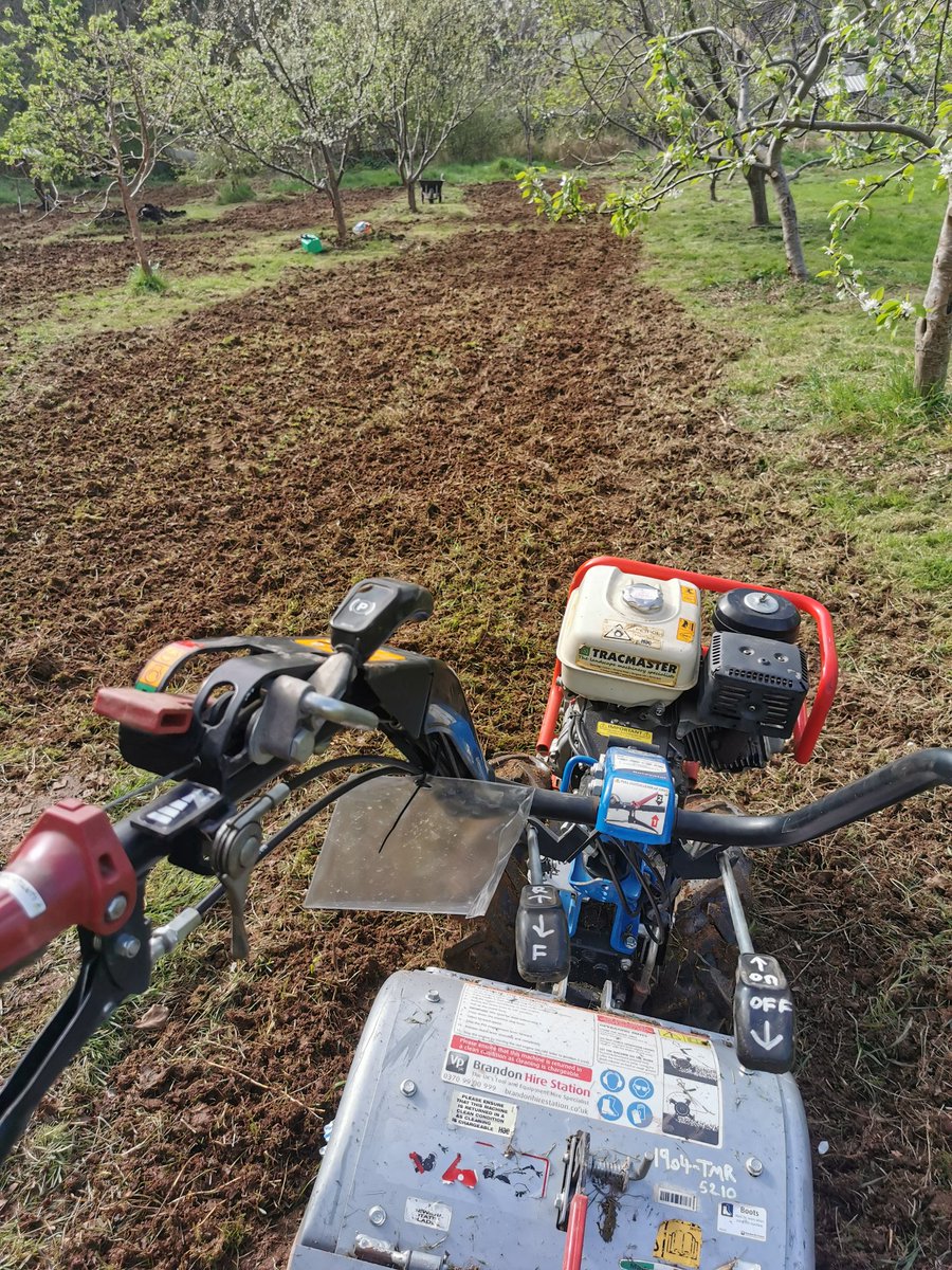 intrepidjanner's tweet image. Lots of mowing, raking and tilling the last two days, all to create more wildflower areas at Woodcroft Community Orchard. Hard work but hopefully worth it 🤞🌷🌷🐝🐝🐞🪲