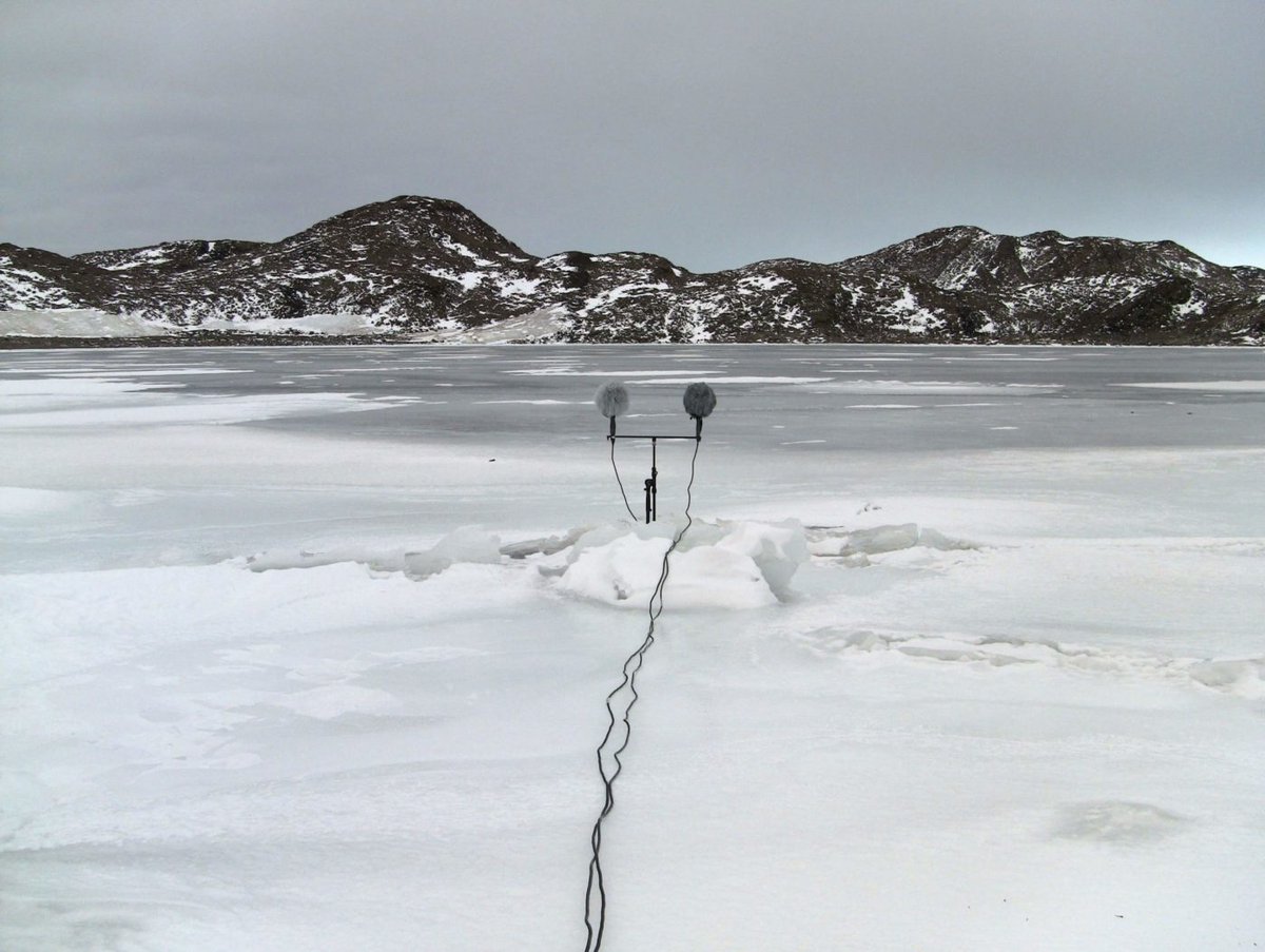 #Antarctica and the arts! #CreativeAntarctica MAGNETIC QUIET ZONE: audio / video installation by Philip Samartzis, Sean Williams, & Marty Walch. Hobart 17 – 19 April. theatreroyal.com.au/shows/magnetic… @UTAS_ @UTASEnglish @IMASUTAS @Antarctichass Credits pic: Philip Samartzis