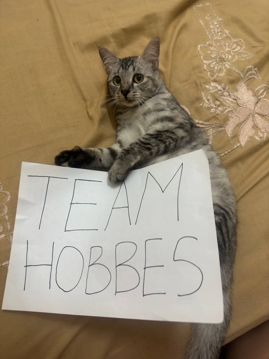 yes my cat haru is team $hobbes