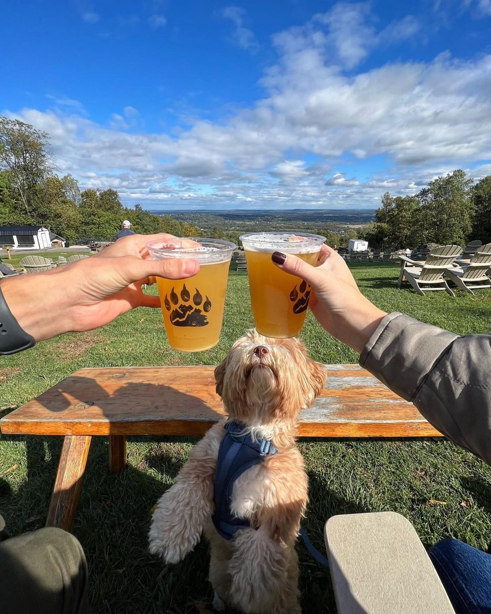 Happy National Beer Day!

We celebrate beer every day at Bear Chase! We hope 🫵 you enjoy your favorite brew today in honor of beer and all its goodness! 

🔗linktr.ee/bearchase

#NationalBeerDay #BearChaseBrewing #VAcraftbeer