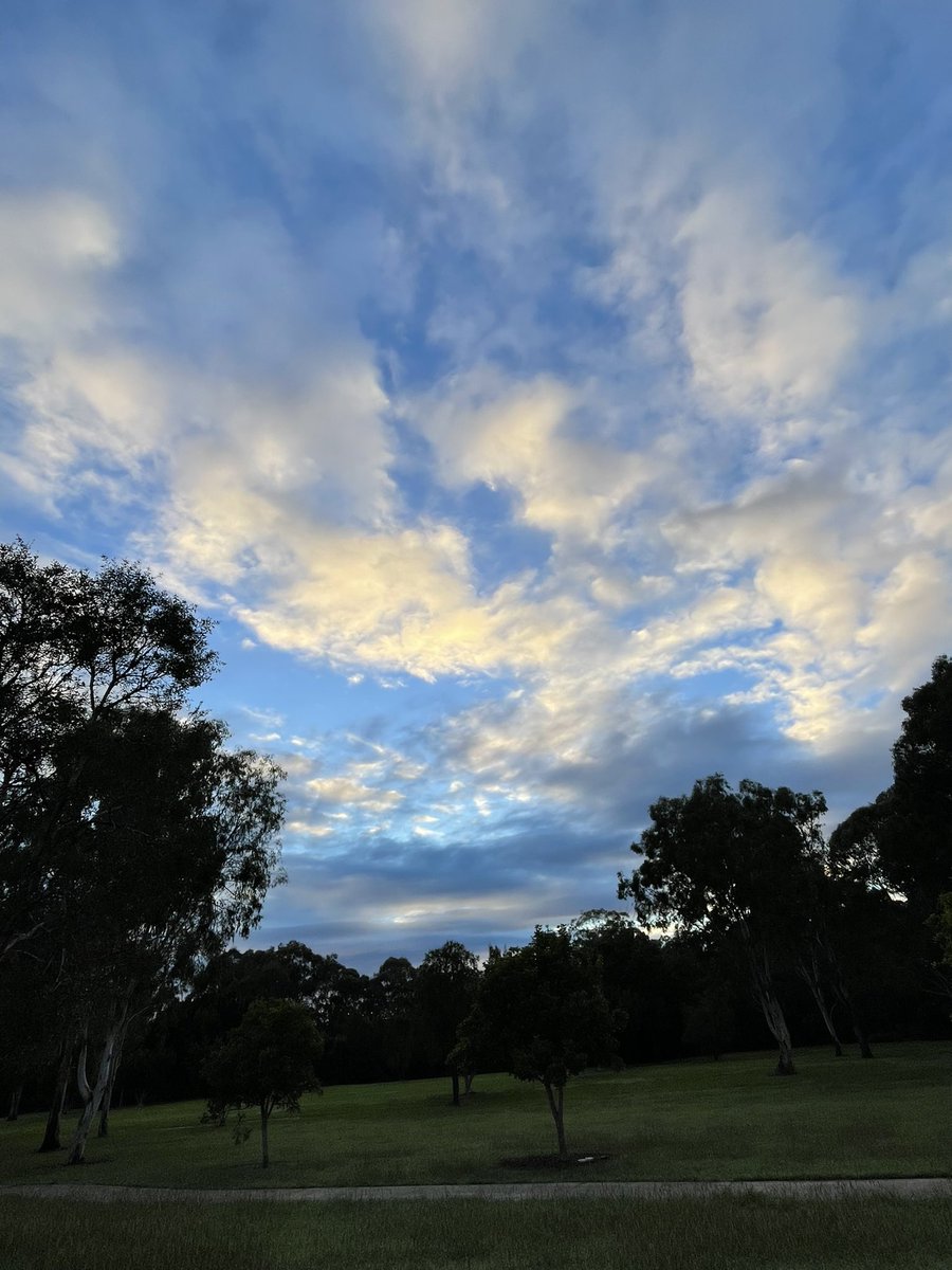 I left home just after sunrise. As I pulled out of my driveway, I could hear a few birds moving about. First seen: lorikeets. First heard: kookaburra. 🐦😃 #birdwatching #BirdTwitter #FirstSeenAndHeard #BirdsOfTwitter #FirstBirdOfMyDay #Ipswich #Qld #Australia (photo: no filter).