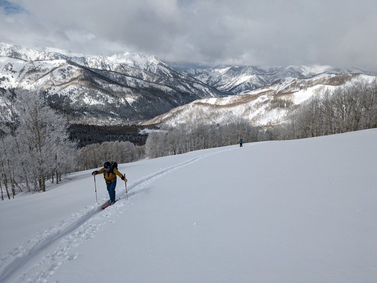 It's been a pretty good run of late-season powder skiing. Another great day today.