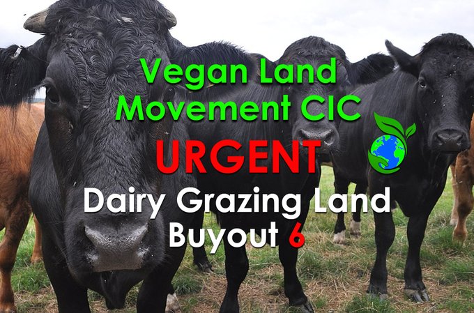 Please donate to the #VeganLandMovement. Your support will go a long way in preserving and reviving wildlife habitats. Be the change you wish to see! @VLandMovement globalvegancrowdfunder.org/dairylandbuyou… #vegan #environment