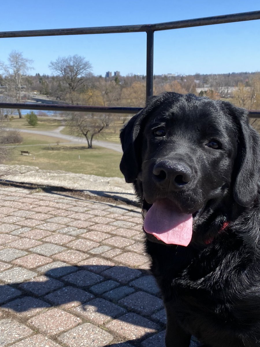 Lovely spring walk in the arboretum.