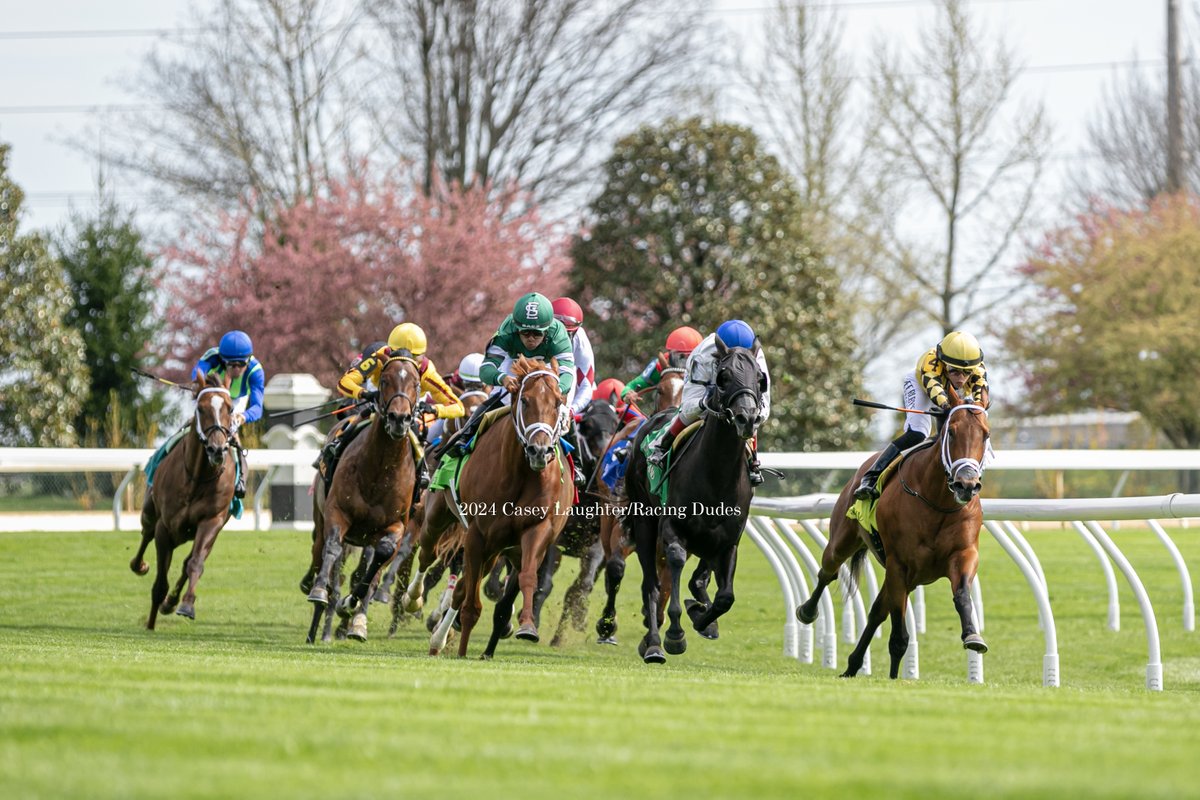 Fandom (GB) (Showcasing (GB)) and @jose93_ortiz win the Listed Palisades Stakes for Wesley Ward and @StonestreetFarm in his 3rd career start. The colt broke his maiden at Keeneland last April. He was purchased by Stonestreet from Tattersalls October 2022 Sale. @racing_dudes