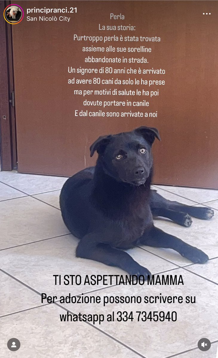 Fariba Tehrani (@fari146) on Twitter photo 