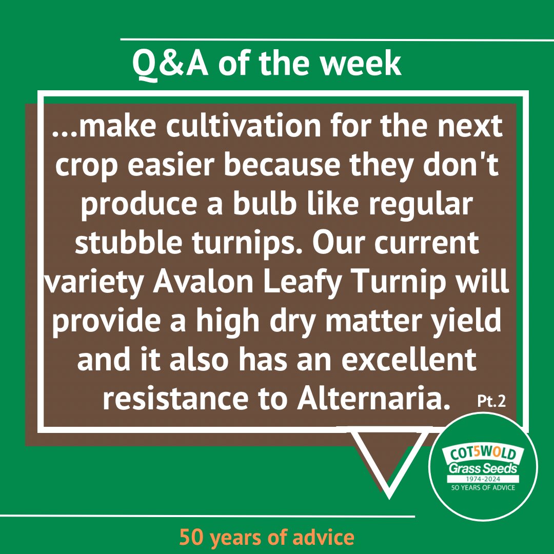 This week’s FAQ “Can I undersow my cereal crop?”⁠ 🤔

Each week we select a FAQ & answer it for you. Drop us a message, or ring the team to discuss 📞. Our office is open 9am-5pm weekdays.

#cotswoldseeds #ukfarming #sustainablefarming #britishfarms #herballeys #farmmanagement