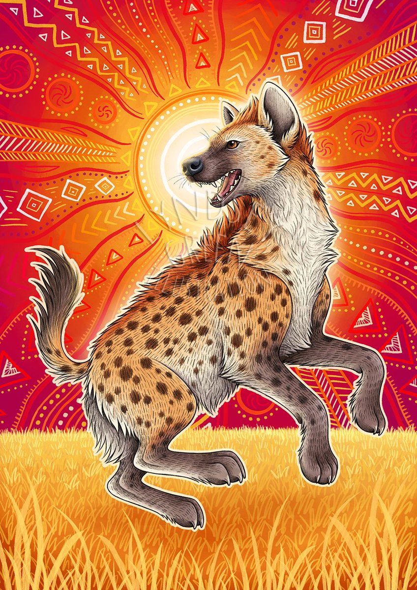 lyndseythefox's tweet image. Excited to share my new spotted hyena illustration! ☀️ I had so much fun making this, hyenas are some of my favourite animals. I really wanted to do something with a bit of folklore, but it was really challenging to find a story that didn’t paint hyenas in a negative light….+