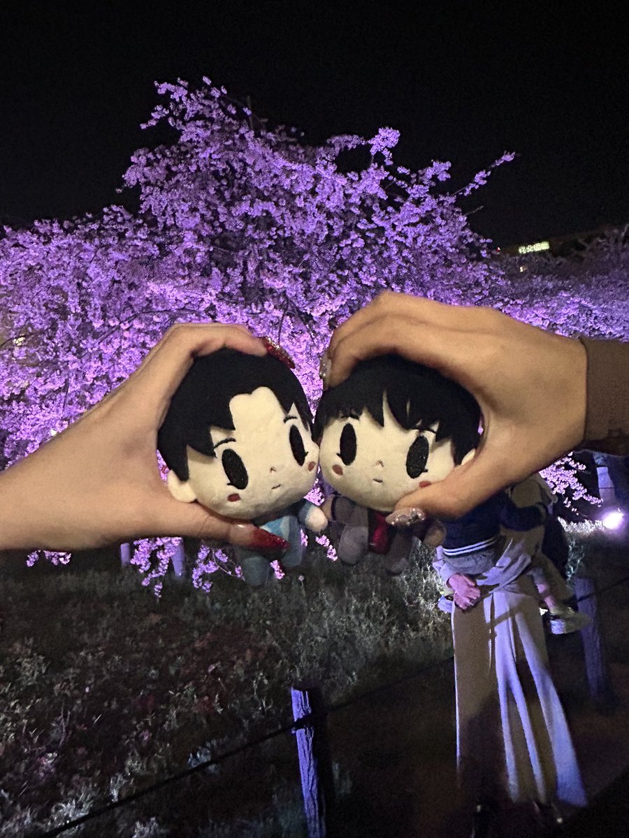 ponsuke132's tweet photo. 架空のアウトラインめちゃくちゃよかった〜😭✨
ほんとに上手く言えないけど全部が素敵だった、、、！
新しいげんじぶを見れたなって思った☺️💗
ライブの後夜桜見に行ったけど、会場でみた桜木さんのが何億倍も綺麗だったな〜😂🌸 https://t.co/KkbAV2gHH3