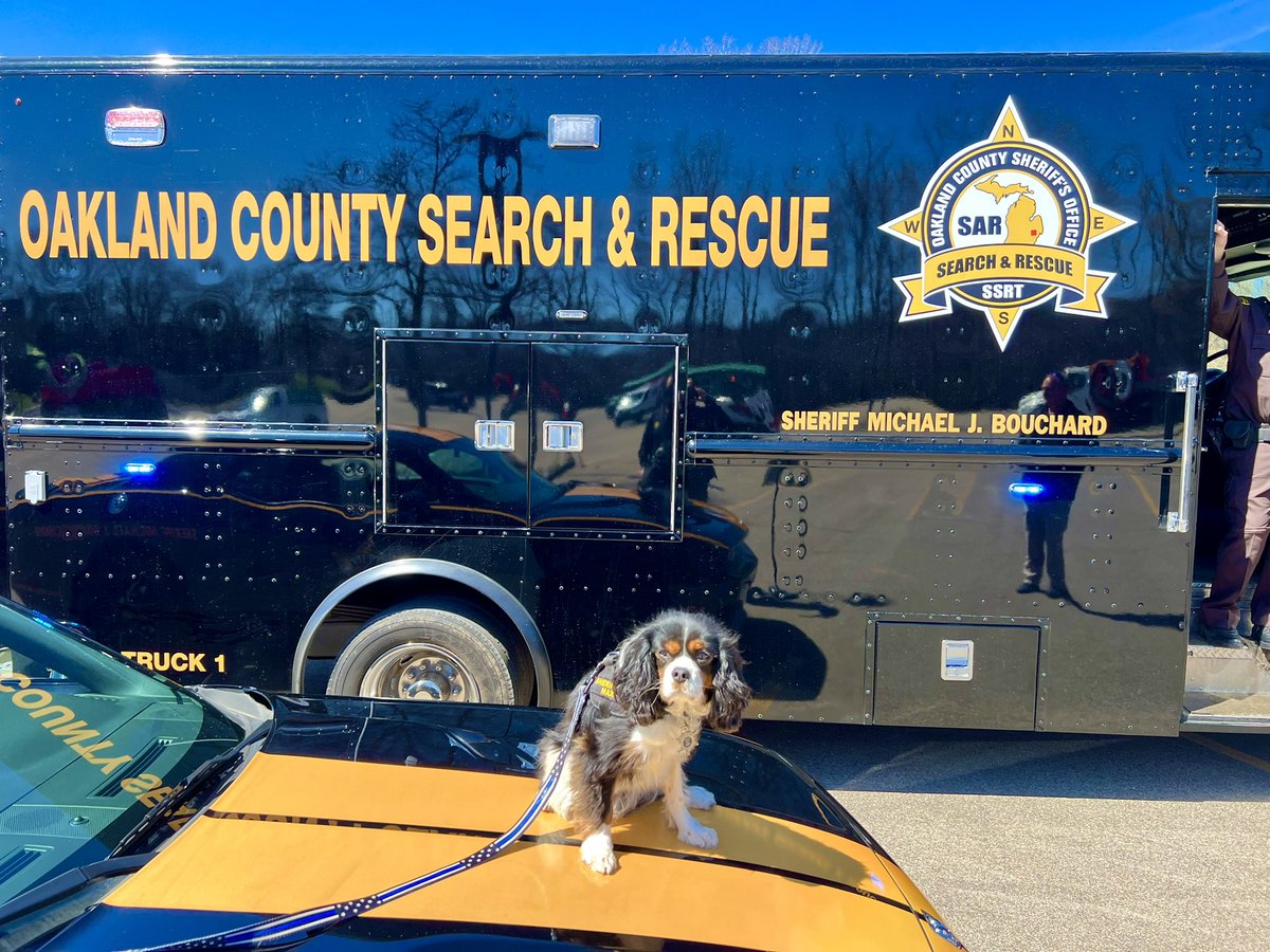 I joined K9 Deputy Max and meet lots of kids at the “Touch a Truck day” at Temple Beth El. Always a fun outing.