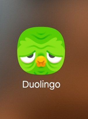 ChronicLilskip's tweet photo. Got jumpscared by the @duolingo icon. Why did you do this? 😂 https://t.co/IIvWJLj9VH