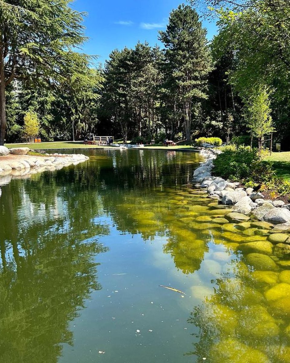 Planning a visit to #RichmondBC? Don't miss Minoru Park, just a 4-minute drive or 15-minute walk from our hotel! 🌳 With sports facilities and scenic trails, it's perfect for getting active and enjoying Richmond's natural beauty. #HiddenGem 📷: (ig)mdmager ⎮ #RichmondMoments