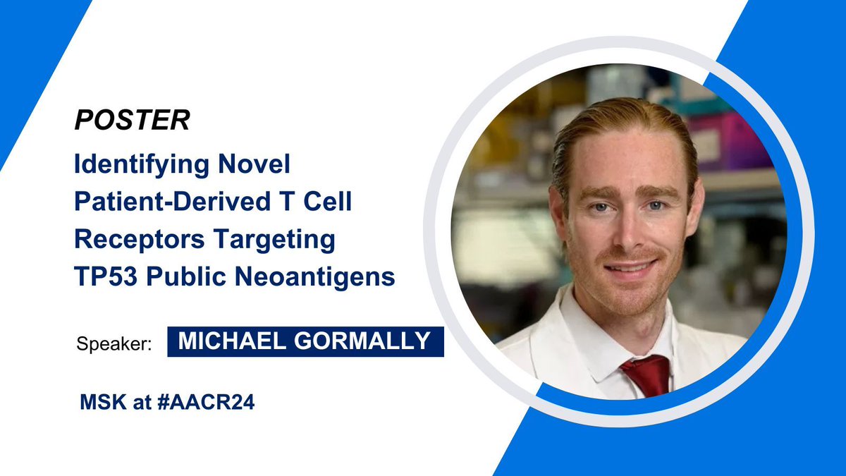 At #AACR24, @GormallyMDPHD will present the results of a study that identified novel T cell receptors in mouse xenograft models that have the potential to eliminate TP53-mutant tumors. @MSKCancerCenter 
April 7 | 1:30 p.m. – 5 p.m. PT | Section 1
buff.ly/3TQwr4O