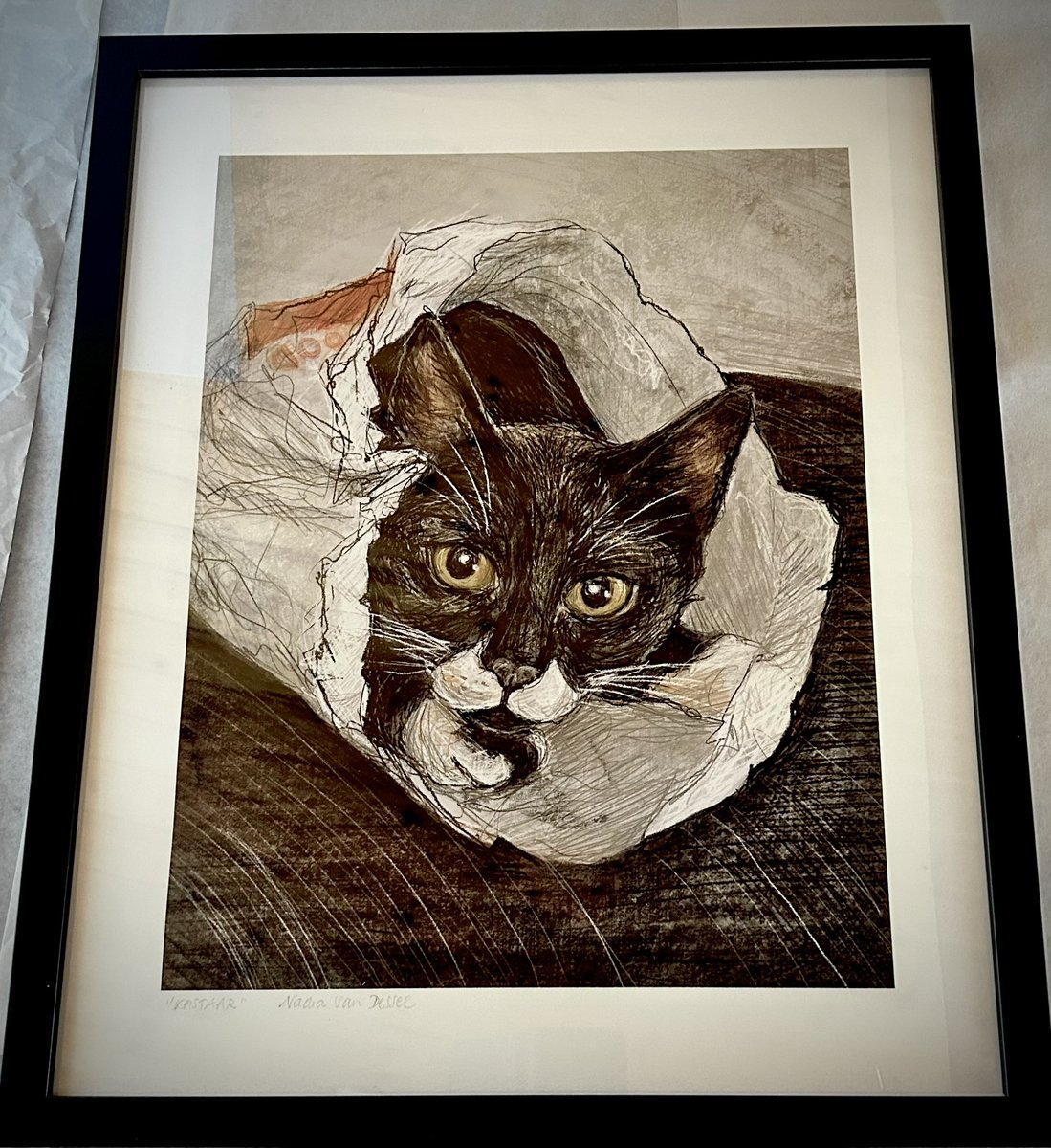 Framed and ready to be shipped! Thx @WDooren for this wonderful commission!😻#kastaar #catportrait