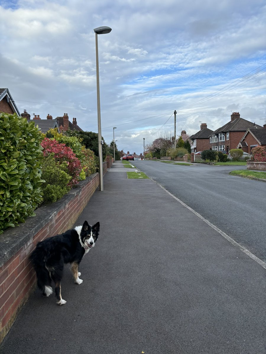 Walkies