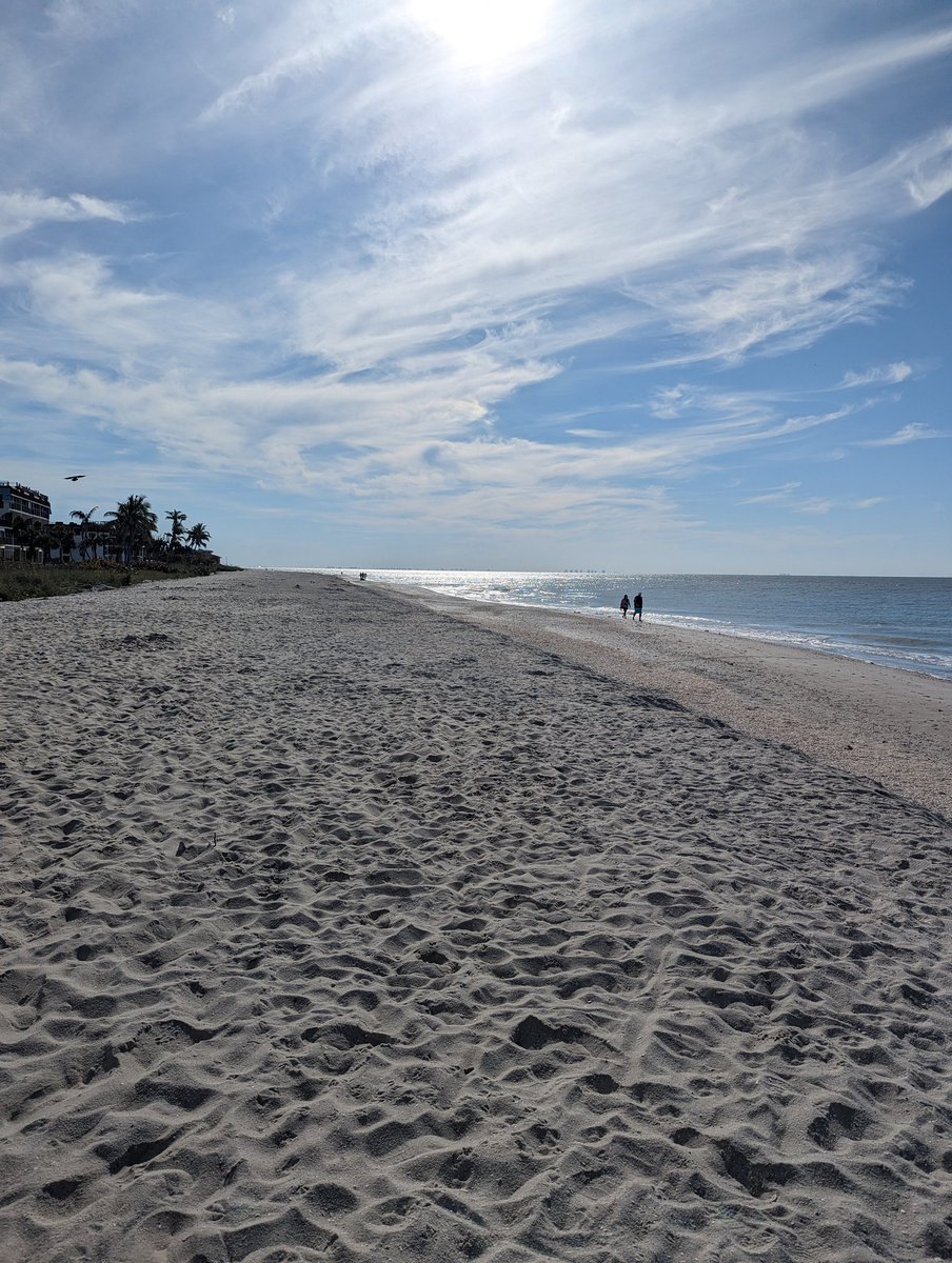 crferrie's tweet image. Enjoyed a day at the beach shelling and picking up fishing line! @cleanify_vet #VeB3TR #Sanibel #SustainableActions