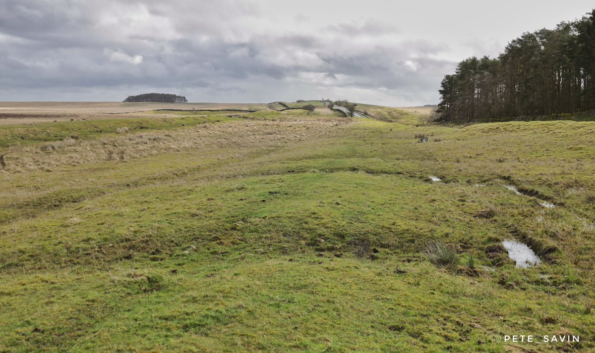 The Roman military way with it’s curved surface still visible as it heads east towards Brocolitia fort. The road was created after the army reoccupied #HadriansWall returning back from the Antonine wall in the mid 2nd Century.