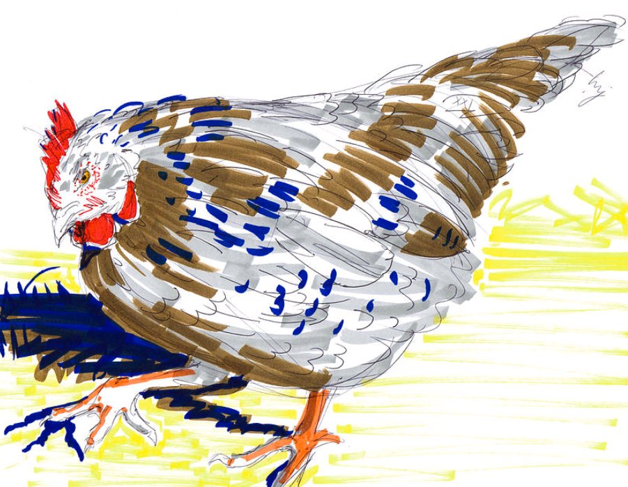 Have a scratch, you don't know what you'll find, click here mike-jory.pixels.com/featured/speck… Sussex Hen drawing #buyintoart #aYearForArt  #FillThatEmptyWall #interiorDesign #artmatters #HenDrawing #SpeckledSussexHen #ChickenDrawing #FarmShop #FarmCafe #BirdPainting #farmRestaurant