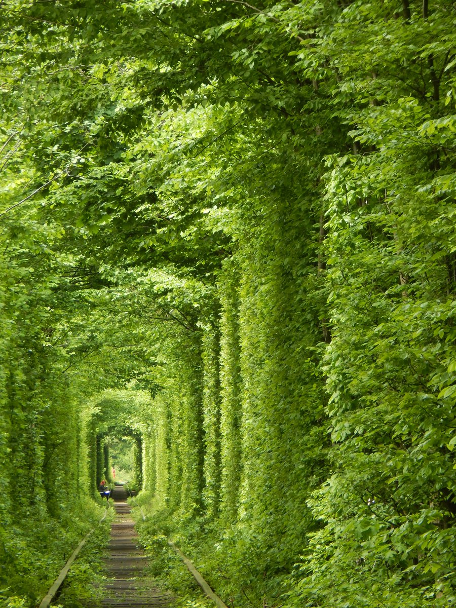 21. The Tunnel of Love, Ukraine This stunning botanical phenomenon is the result of the train's regular passage amid growing trees and bushes.