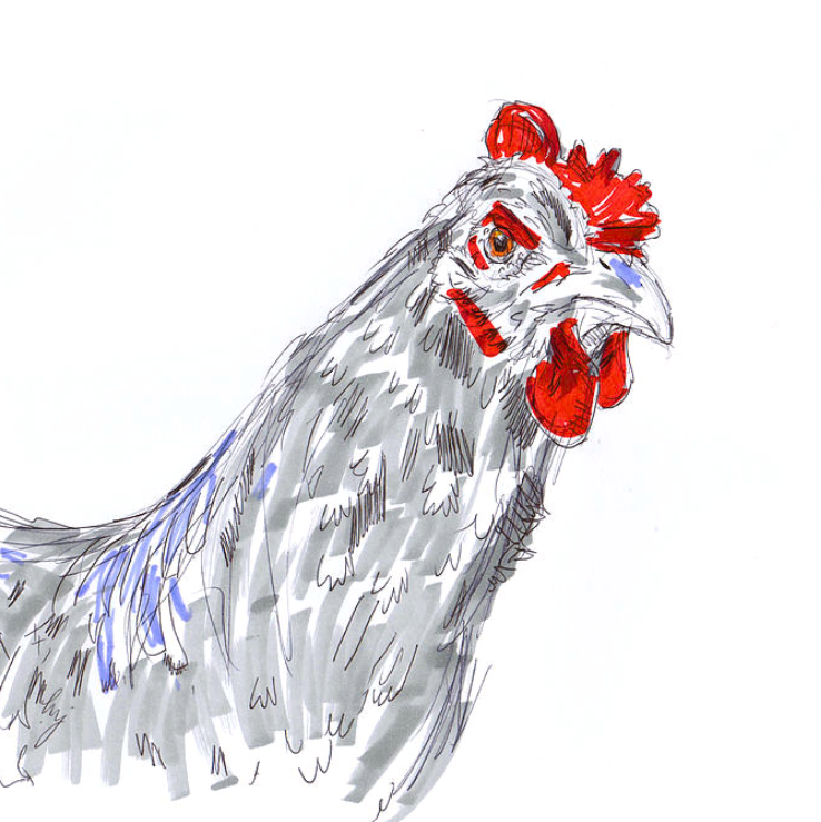 Darn right I'm mad! have your say here mike-jory.pixels.com/featured/speck… Sussex Hen mixed media drawing #buyintoart #aYearForArt #FillThatEmptyWall #interiorDesign #artmatters #HenDrawing #SpeckledSussexHen #ChickenDrawing #FarmShop #FarmCafe #BirdPainting #farmRestaurant