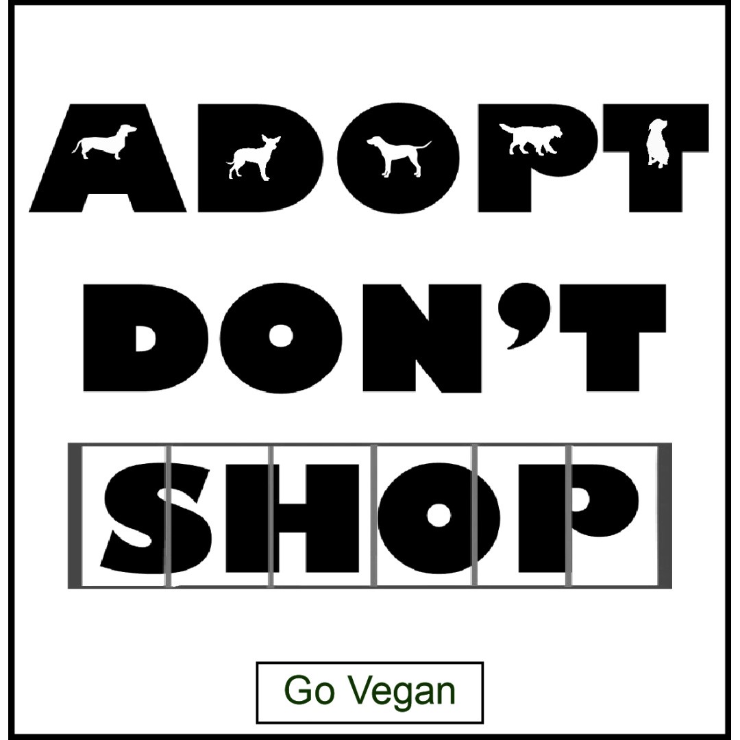 #adoptdontshop #puppies #dogs #banpuppymills