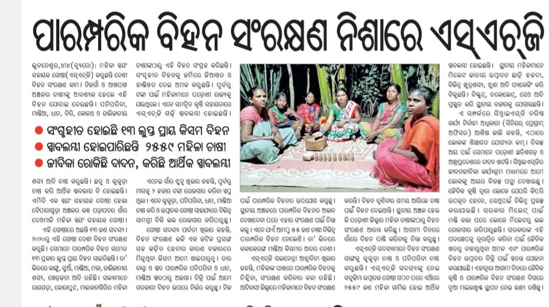 Preservation of #IndigenousSeeds of rare varieties is an art acquired by Deomali SHG members of Kondh Podapadar village in Boipariguda block, Koraput. By now, its members have collected & preserved 13 indigenous varieties of seeds. Read the story to know what the members say.