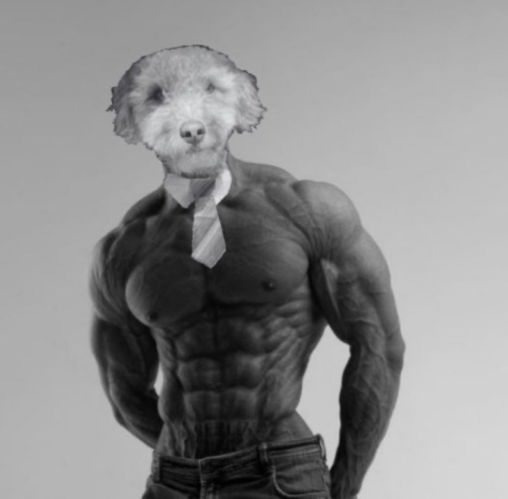 Why is the $OLLIE VS $THOG saga such an important thing for our space?

The underdog needs to win, and we’re about to tell you why.

Here’s a short thread exposing the people behind $THOG , and why it’ll fail like almost everything else they’ve done.