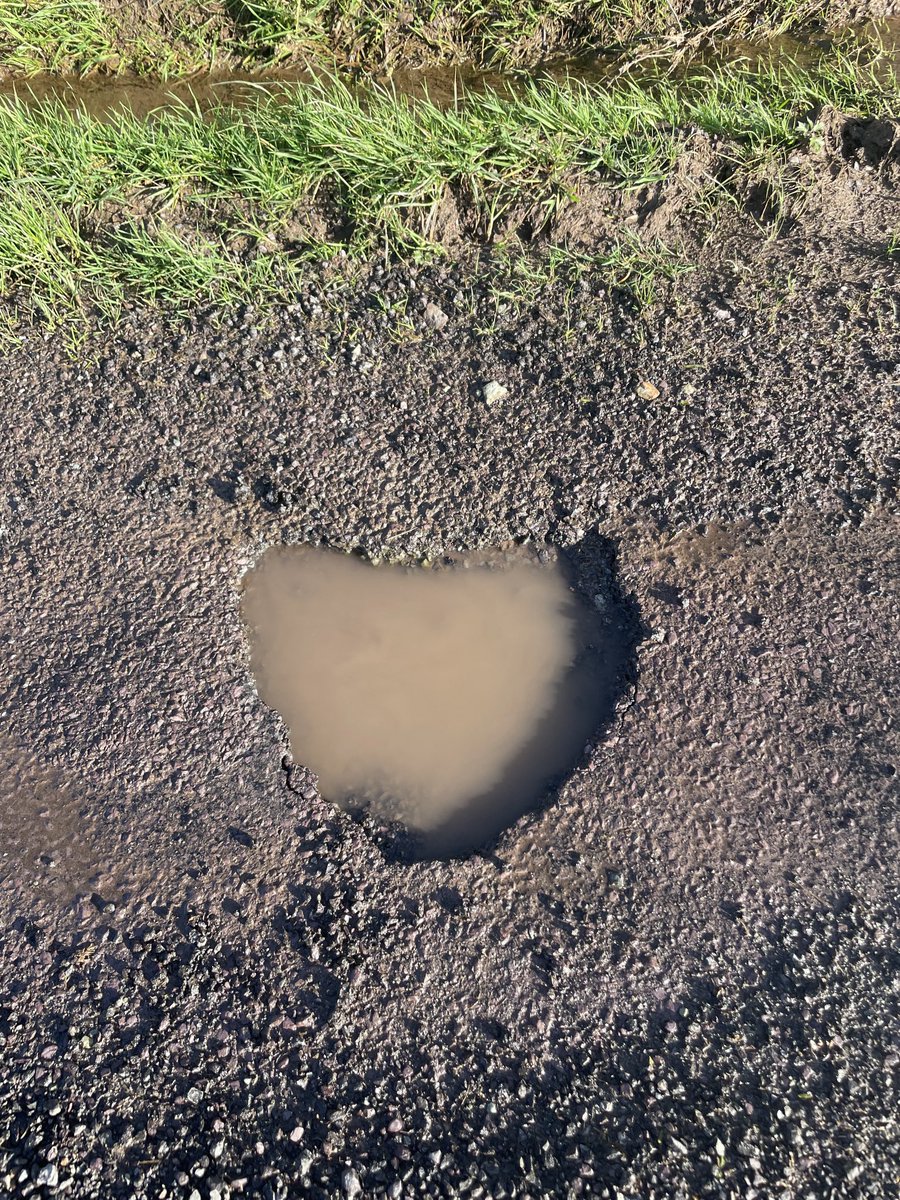 Day 76 walk. Heart-shaped pothole.