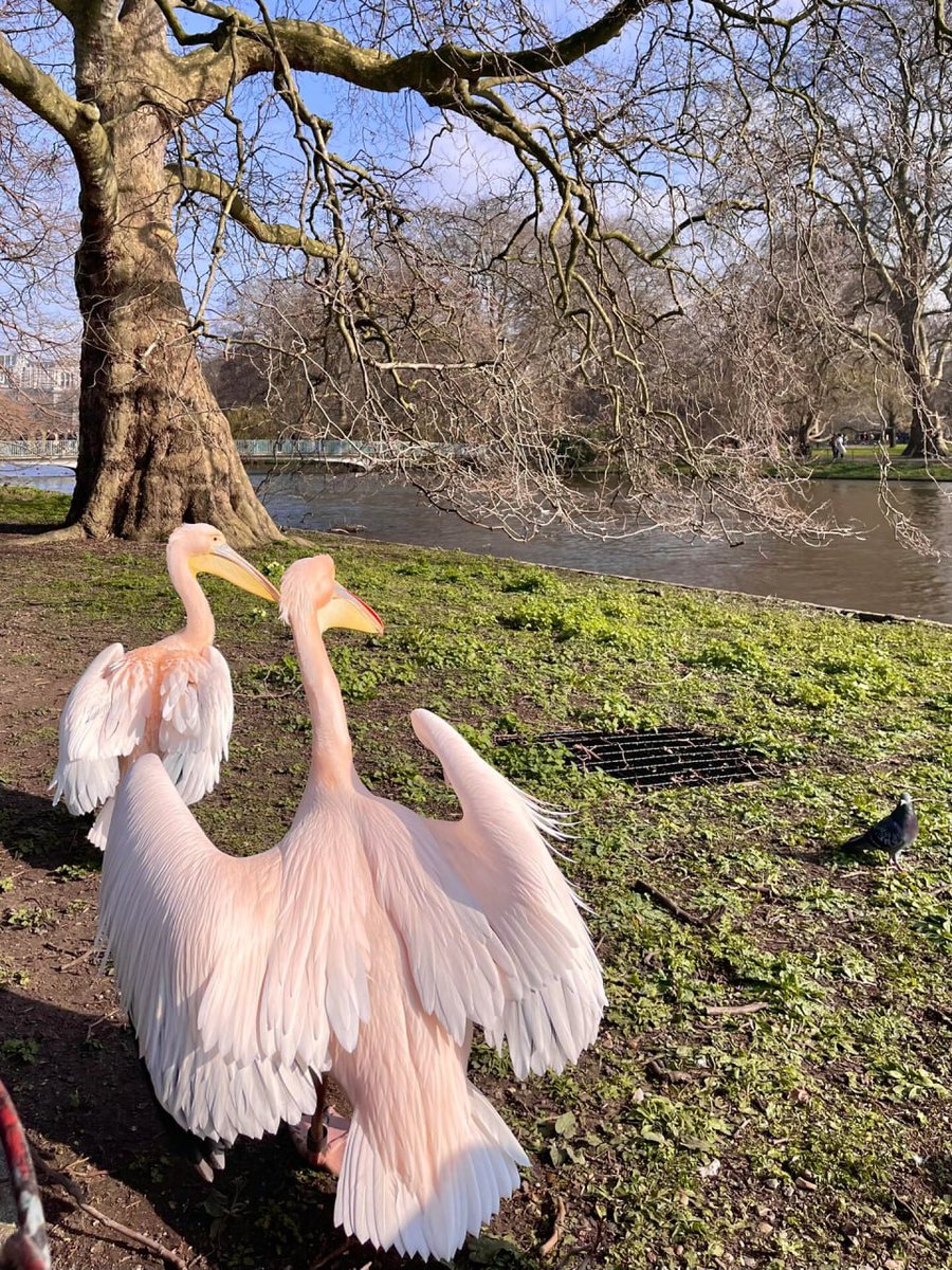 iRunDisMixtapes's tweet image. The four seasons are very ordinary, and the warmth and coldness are all due to the response.