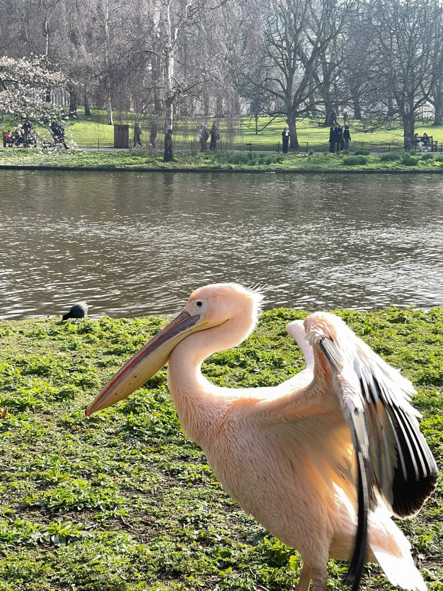 iRunDisMixtapes's tweet image. The four seasons are very ordinary, and the warmth and coldness are all due to the response.