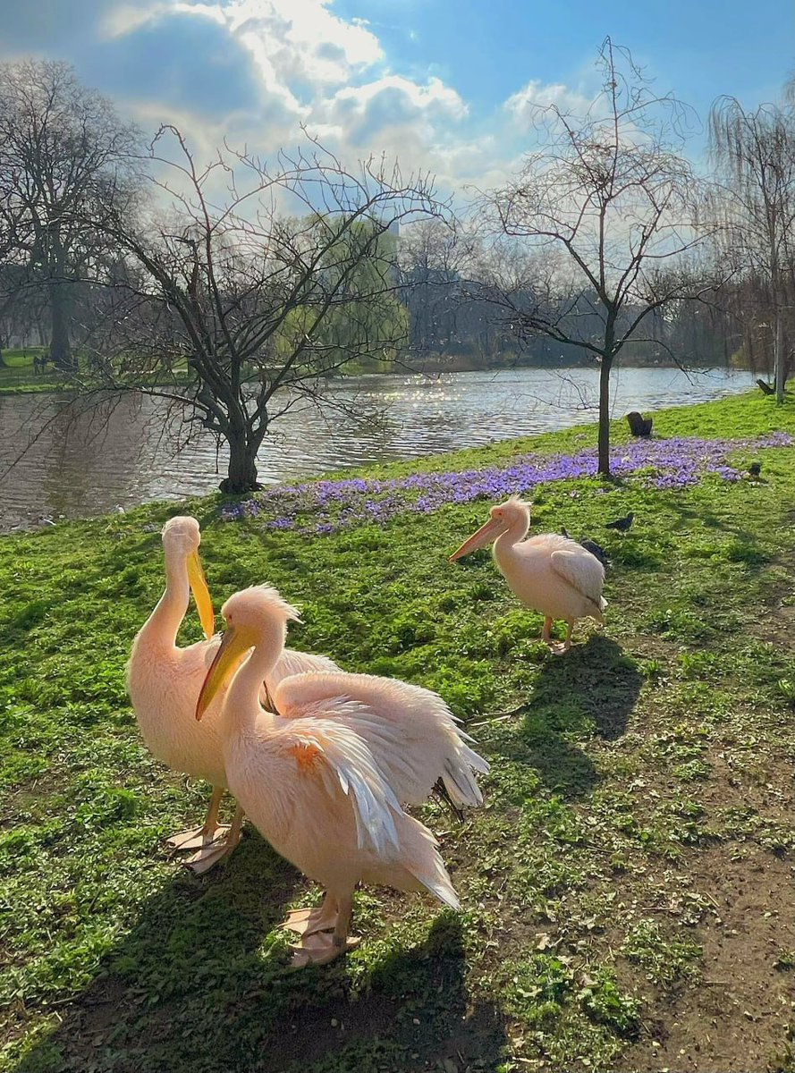 iRunDisMixtapes's tweet image. The four seasons are very ordinary, and the warmth and coldness are all due to the response.