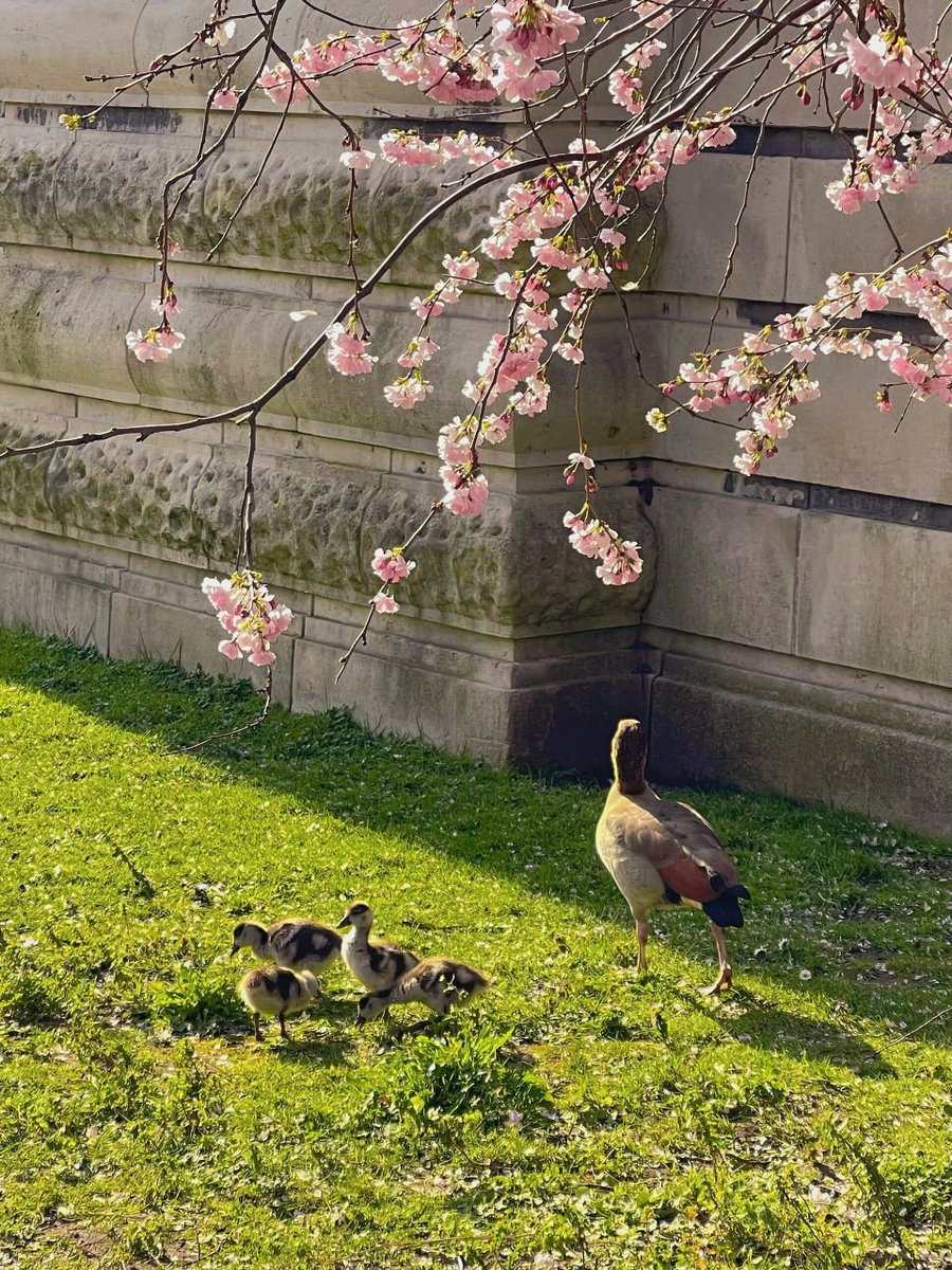 iRunDisMixtapes's tweet image. The four seasons are very ordinary, and the warmth and coldness are all due to the response.