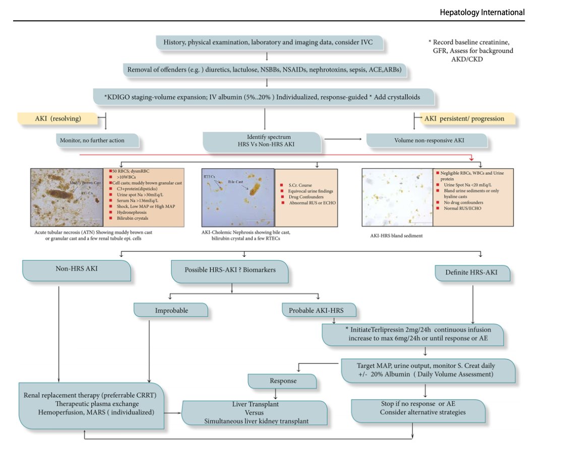 APASL clinical practice guidelines on the management of acute kidney injury in acute‐on‐chronic liver failure
Do not miss going through this guidelines. Every aspect of AKI management in ACLF is thoroughly discussed🙌
doi.org/10.1007/s12072…
#CriticalCare