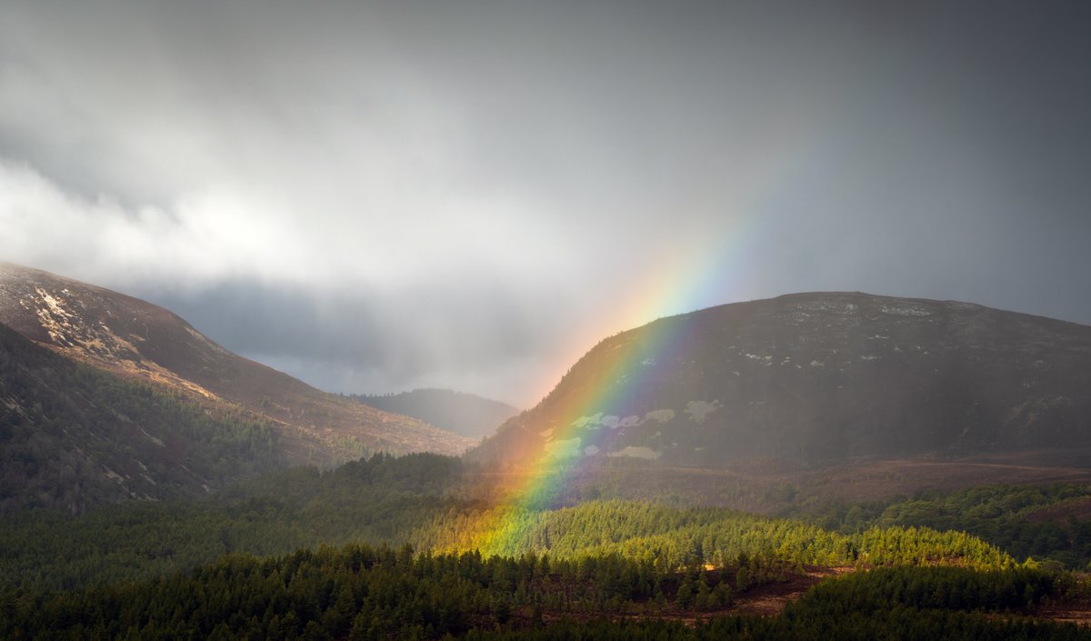 Passing scenes #glenmore #Scotland