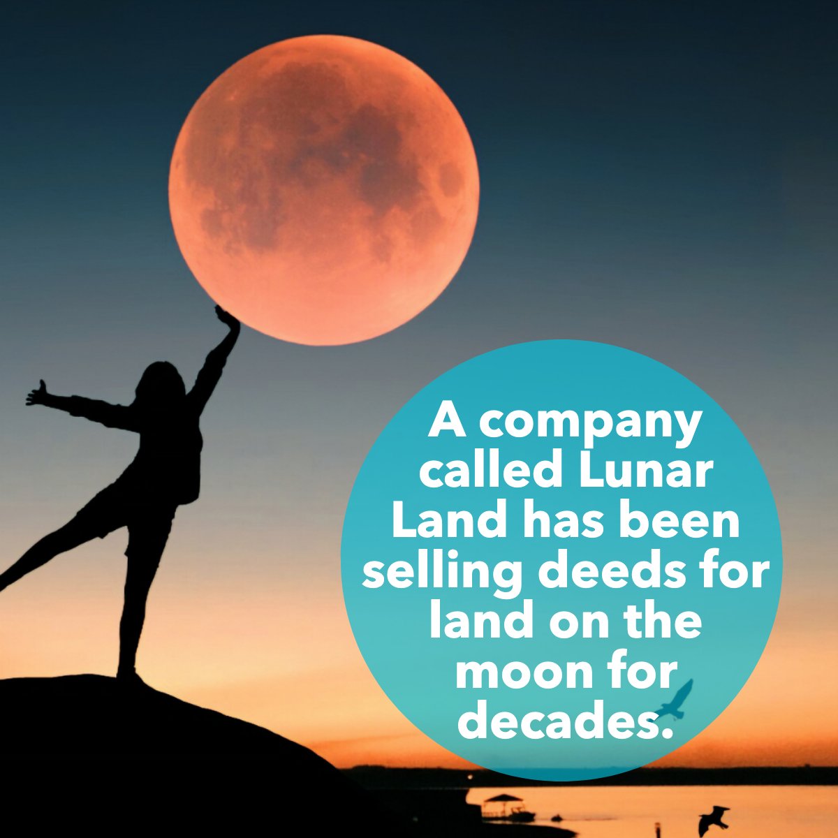 What do you think? 🤔

LUNAR LAND company is the world's most recognized Celestial Real Estate Agency 🚀

#didyouknow #fact #celestial #lunarland #goodtoknow #randomfact #realestate #realestate101
 #BorahRealtySource #Borahsdiditagain #Borahsoldit #bestteamintown