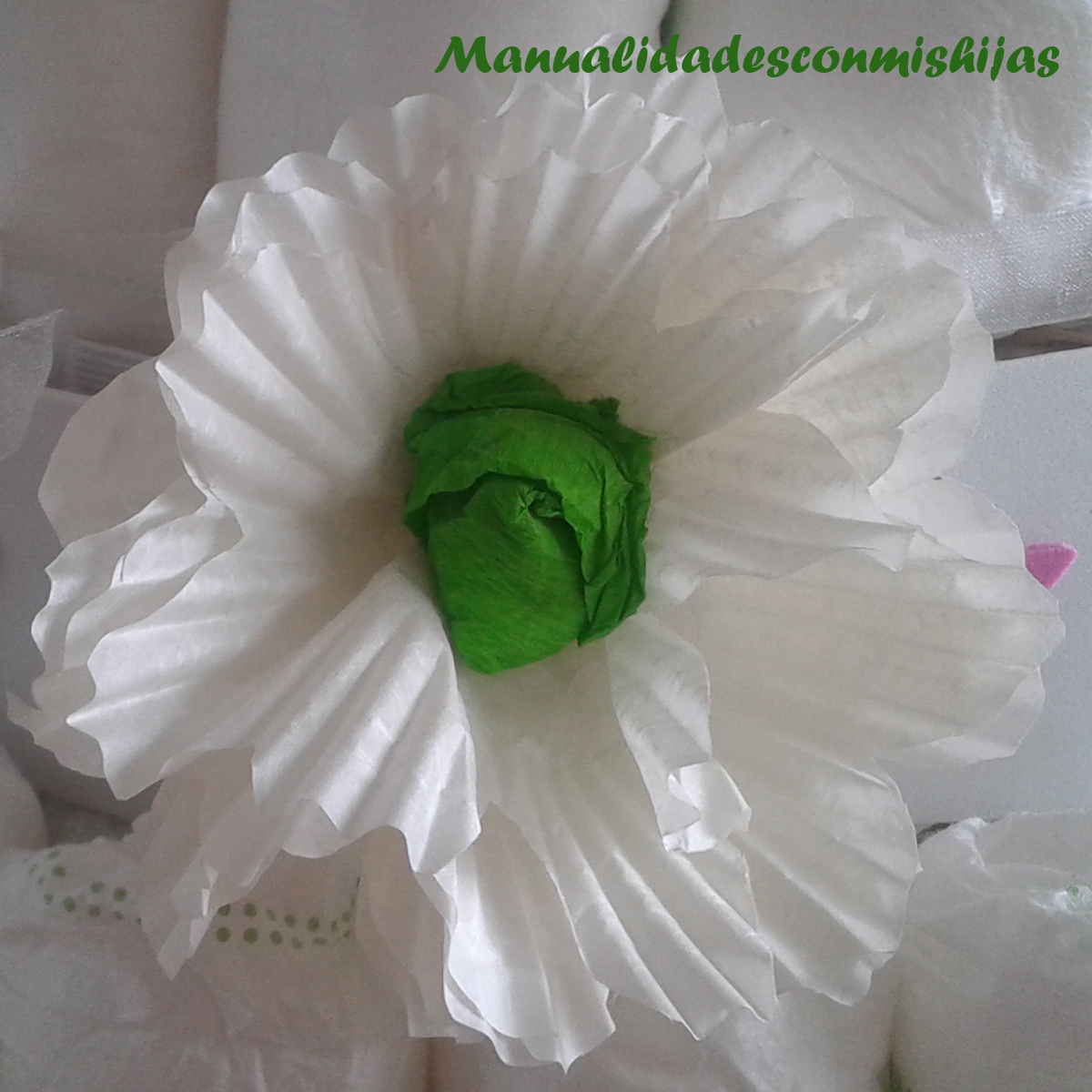 Flores con moldes de magdalenas Una manera original de decorar regalos i.mtr.cool/kmkojlhbem