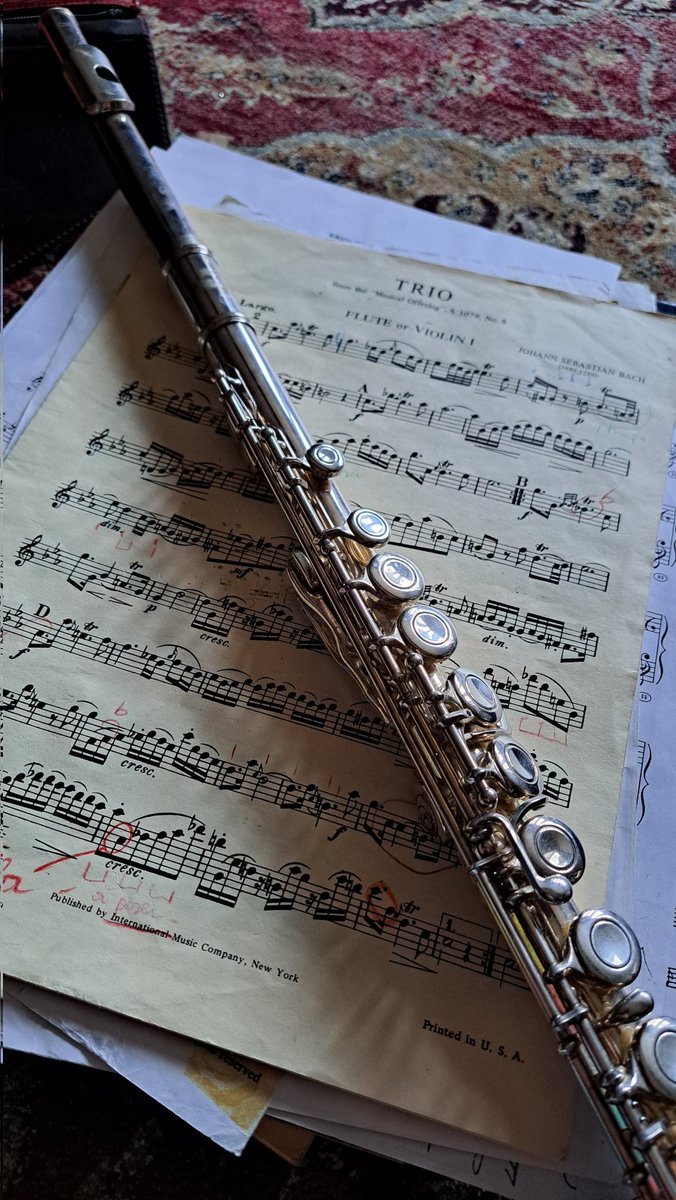 Aged 11, I failed my grade 5 flute exam. For nearly 20 yrs, I have allowed myself to believe that I'm rubbish at music. Last week I got my flute out again, Because It's time to rewrite the narrative and simply play for pleasure.