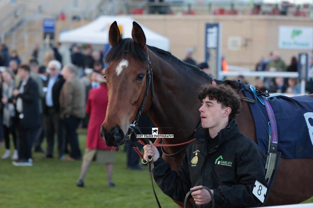 BREAK POINT (Iffraaj x Final Set) at Doncaster recently. Trained by @derekshawracing and owned by Strangers On The Shaw Partnership. Placed for the only time in his career so far on his debut last year.