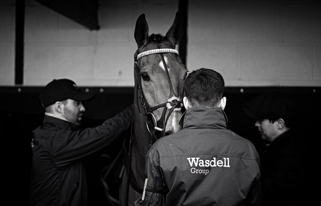 A moment of quiet in the saddling boxes at @ExeterRaces for Anytrixwilldo @JonjoONeill