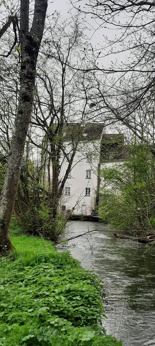 cadu45actu's tweet image. Balade du jour👟
Parc régional des mauves
#Loiret