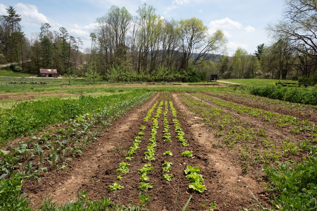 blackberryfarm tweet picture