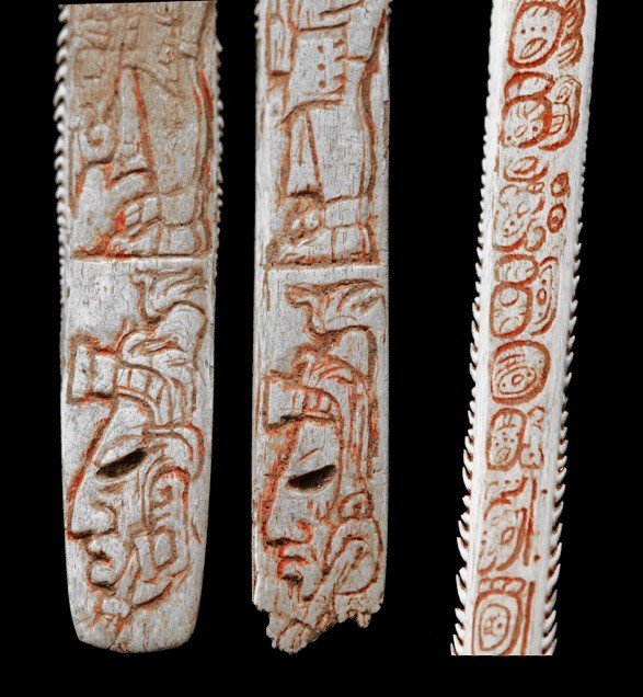 Uno de los soportes más raros en que se ha grabado una inscripción: una espina de mantarraya. Se usó como aguja para extraer sangre en los ritos de autosacrificio que practicaban los gobernantes mayas. Comalco, México (INAH).
