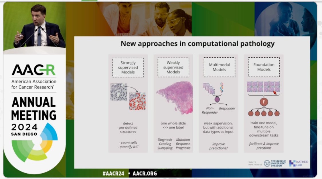 Enlightening presentation on AI-based biomarkers in cancer histopathology at #AACR24 from @jnkath 👉🏻Do not blindly trust AI! @AACR