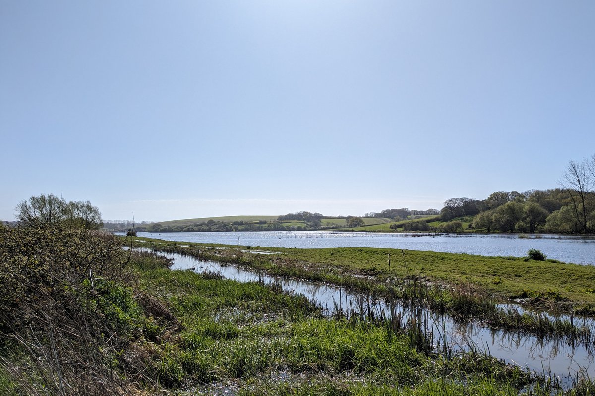 Tom (@t_omissus) on Twitter photo Plenty of spring migrants in at Combe Valley CP this morning: pair of Garganey on SW end of floods, Reed Warbler, 3 Sedge Warbler, Sand Martin, 13 Swallow, 4 Willow Warbler, 18 Chiffchaff, 11 Blackcap, Common Whitethroat and Nightingale. <a href="/SussexBirding/">Sussex Birding</a> Plenty of spring migrants in at Combe Valley CP this morning: pair of Garganey on SW end of floods, Reed Warbler, 3 Sedge Warbler, Sand Martin, 13 Swallow, 4 Willow Warbler, 18 Chiffchaff, 11 Blackcap, Common Whitethroat and Nightingale. <a href="/SussexBirding/">Sussex Birding</a>