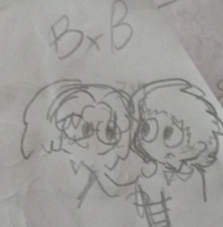 El bxb