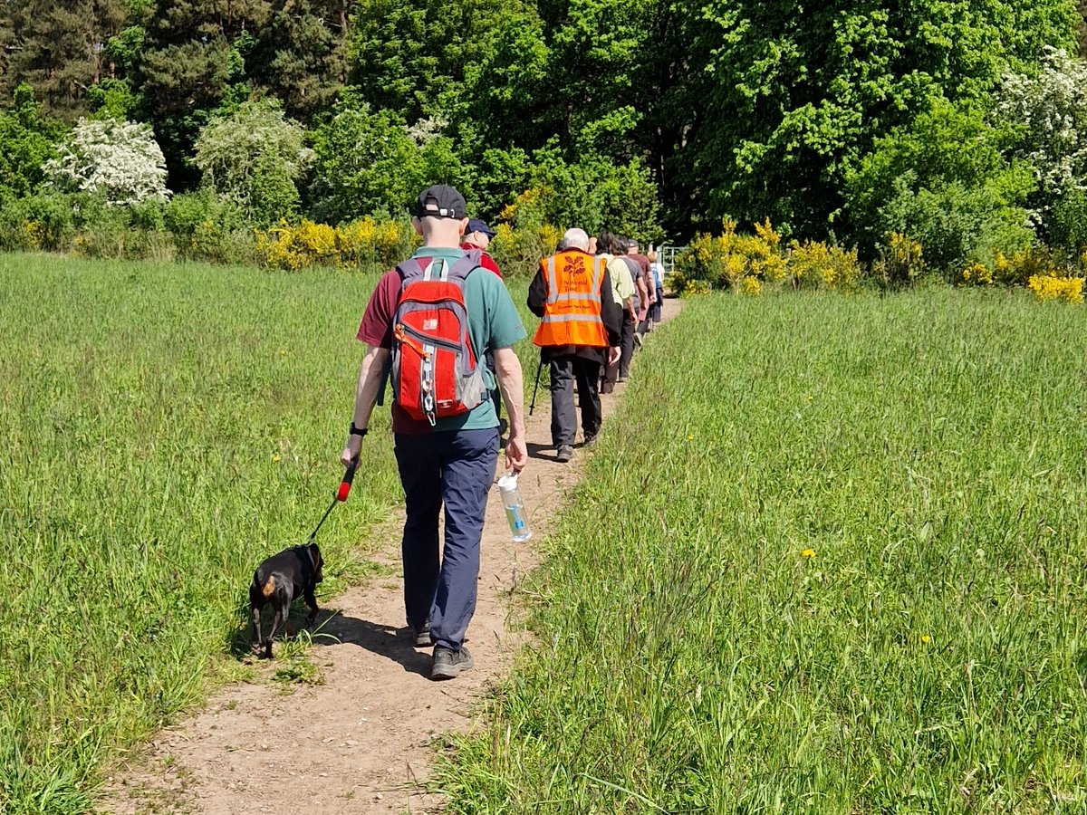 Explore the wider park with one of our regular organised walks, led by our team of expert walk leaders. Taking place on various days, covering different distances, find out more at: nationaltrust.org.uk/visit/nottingh… #ClumberPark