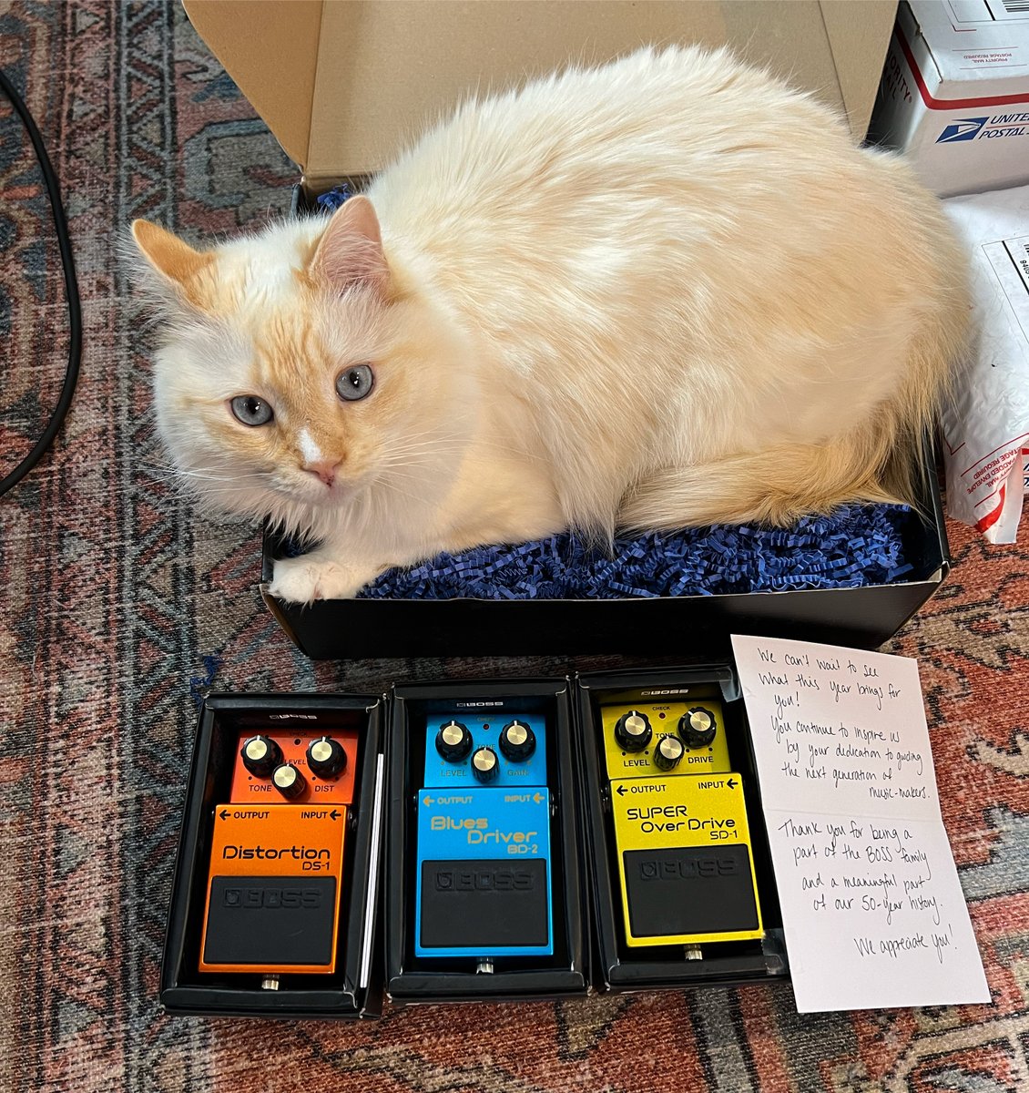 Dexter loves these pedals!
@bossinfoglobal 
@BOSS_jpn 
@RolandGlobal 
@MyRoland