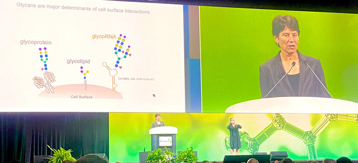 Dr Carolyn Bertozzi highlights at #AACR24 plenary the importance of glycans in physiology and their complex immune modulatory functions in #cancer. Promising targets for diagnostics and cancer #Immunotherapy!