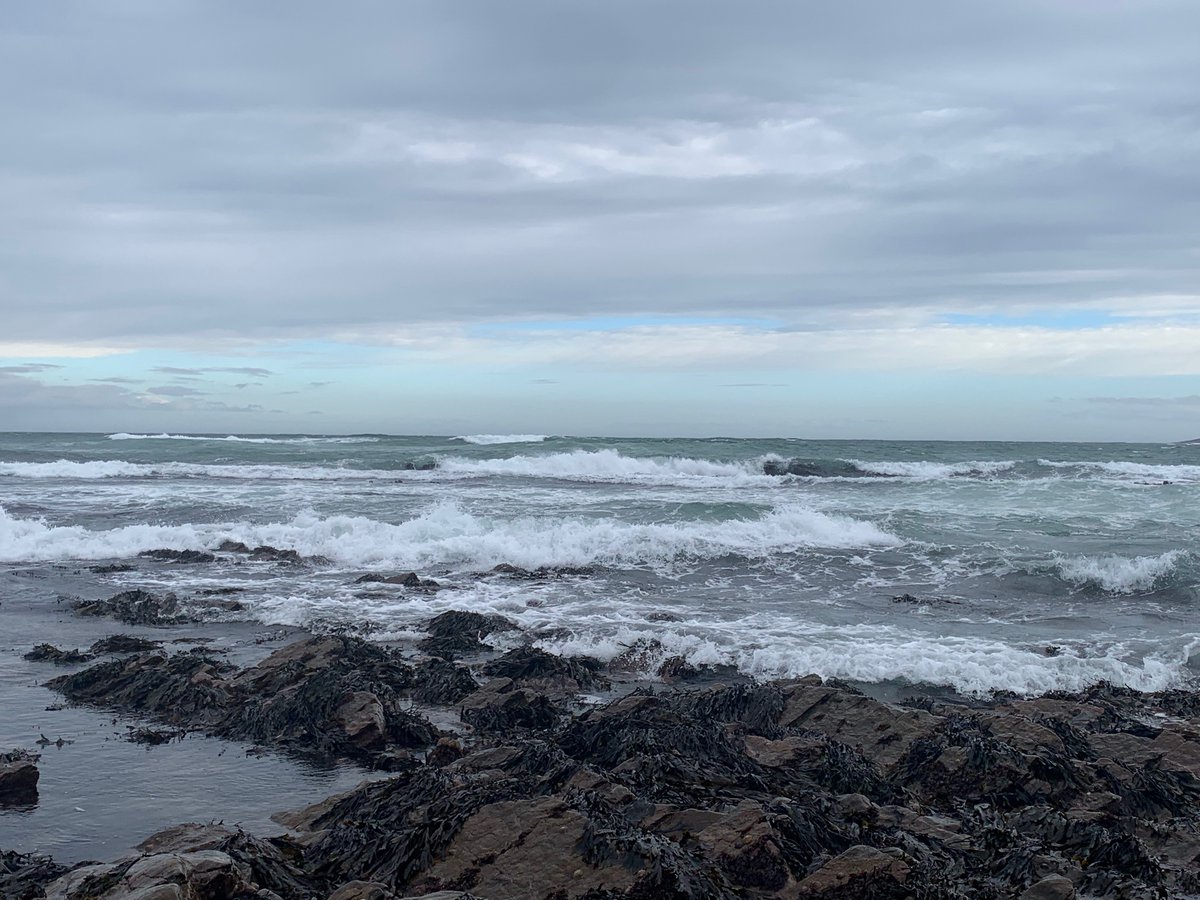 Ruby George tweet media